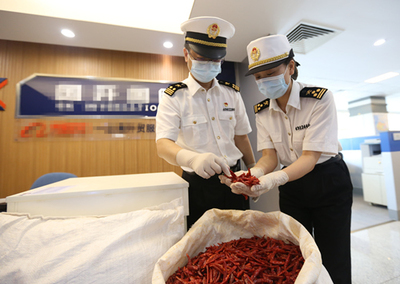 中非經貿博覽會 合作成果豐碩，攜手共譜發展新篇